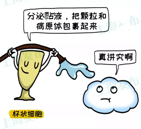 【醫聊】@鼻炎深度使用者，為什麼“傳送”這麼多鼻涕？