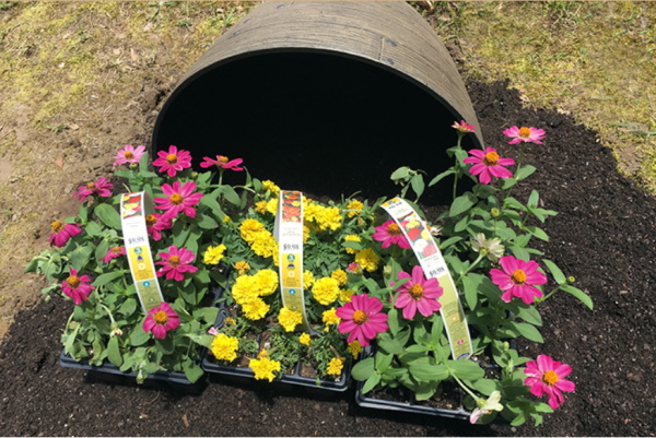 被打翻的調色盤，讓花園更生動