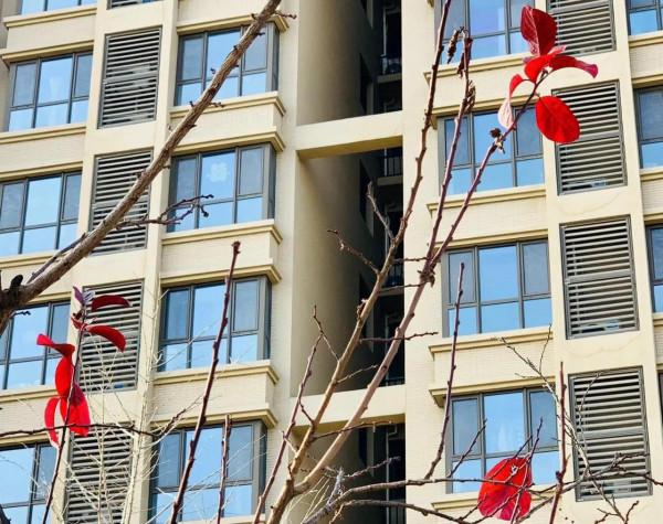 七律. 養生羹美重和調