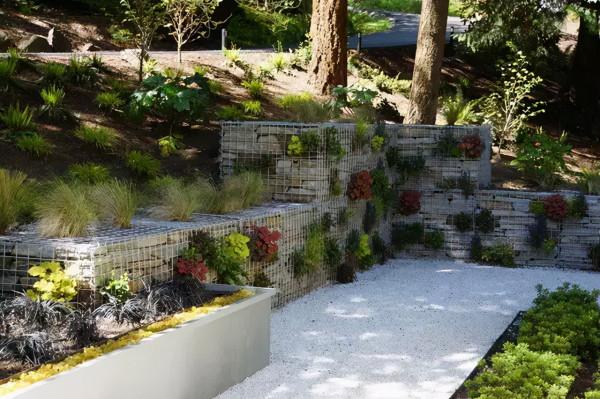 石頭縫裡這樣玩，它也可以成為庭院裡一道亮麗的景緻