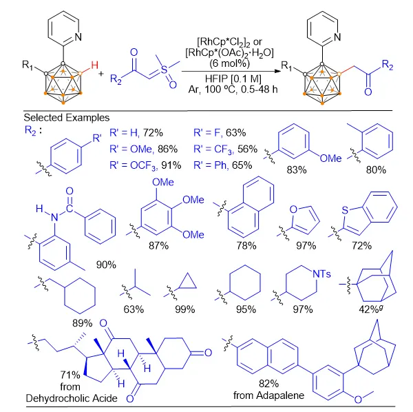 南京大學燕紅課題組實現碳硼烷硼氫鍵的選擇性單烷基化及相...