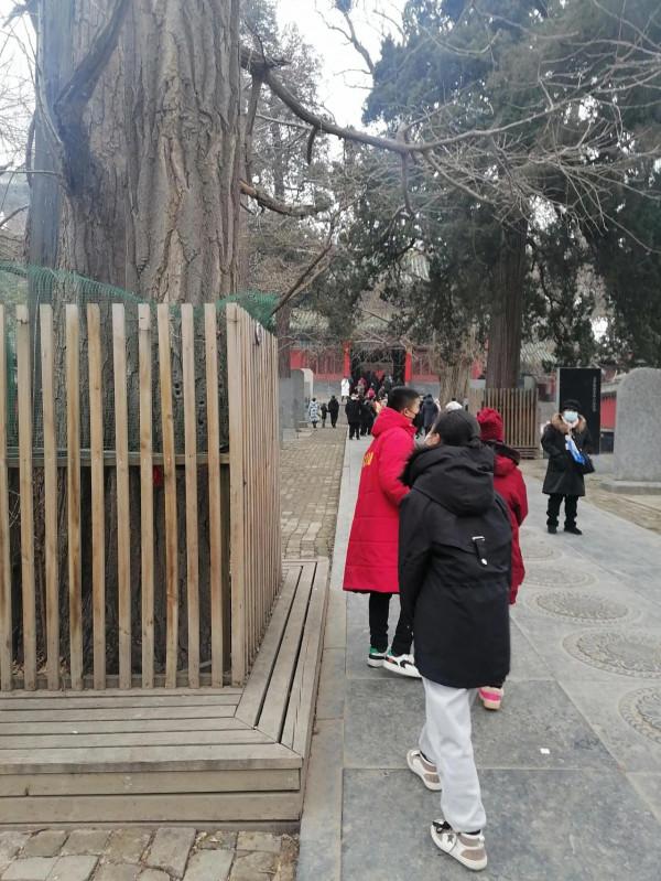 帶著母親看天下（少林寺景區）