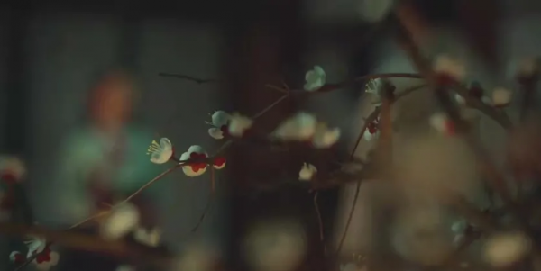 “我們現在說的是柑橘沒錯嗎？”《衣袖紅鑲邊》告白名場面分析