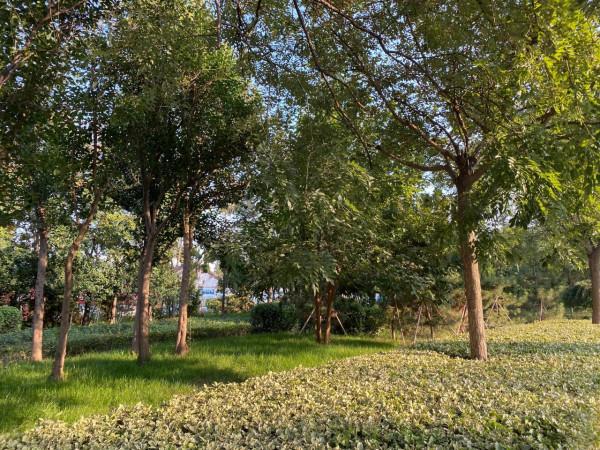 2021年12月6日我只想努力賺錢賺很多很多的錢