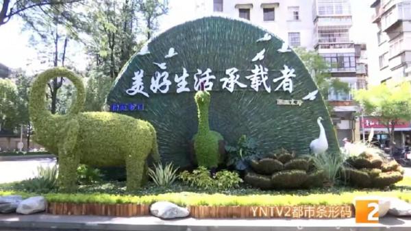 COP15：“騎大象”“溜孔雀”的雲南人