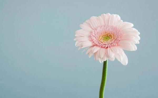 保護孩子眼裡的光 讓孩子學會“不懂事” 保護孩子眼裡的光 讓孩子學會“不懂事”