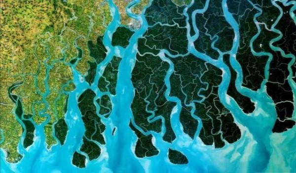 青藏高原對印度意味著什麼？