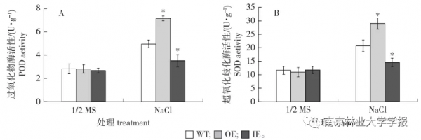 論文推薦 || 白樺BpGRAS1基因的克隆及耐鹽功能分析