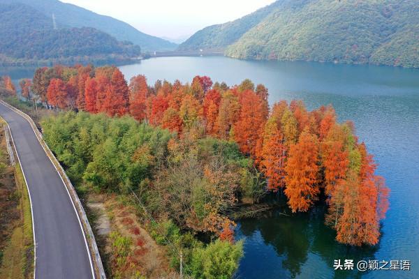冷灣水庫，紅杉絢爛，豪門人家，水岸風景