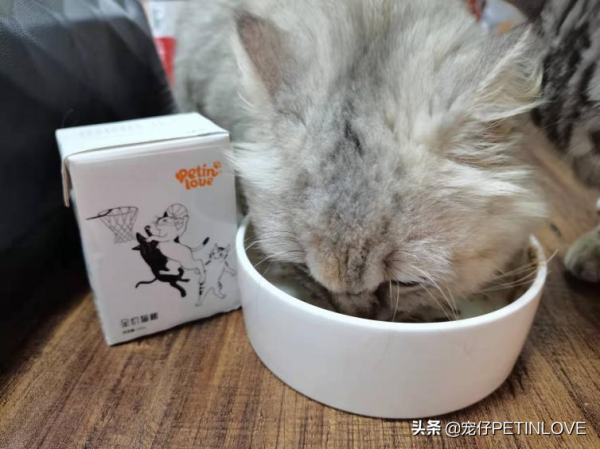 貓咪到底應該是以溼貓糧為主還是直接吃乾糧?有什麼推薦嗎? 貓咪到底應該是以溼貓糧為主還是直接吃乾糧?有什麼推薦嗎?