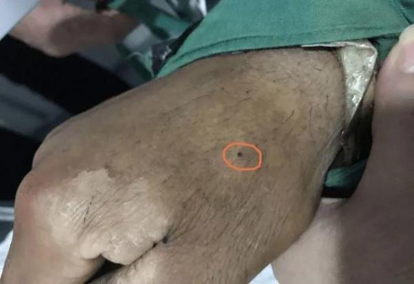 你可能對“黑寡婦”一無所知