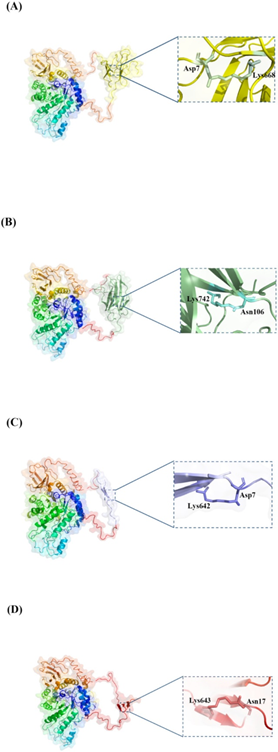 Int J Biol Macromol. | 利用肽標籤共價環化提高海藻糖合酶的熱穩定性及其分子機制研究