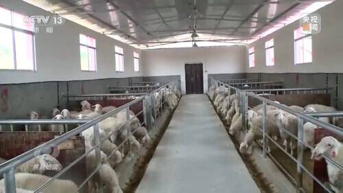 農業：走上高質量發展之路