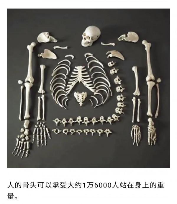 關於人體，那些你不知道的冷知識