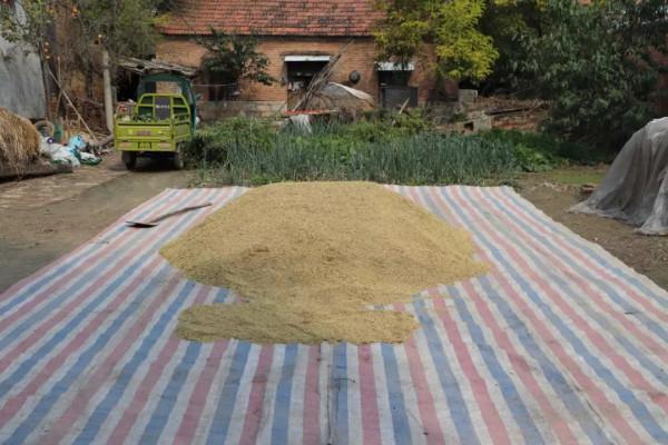 1958年,部隊領導去東北學習,看見糧倉管理員後哭喊：你居然還活著