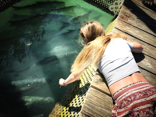 男人為了釣魚能有多瘋狂?在海上漂了10年,解鎖上千魚種成就 男人為了釣魚能有多瘋狂?在海上漂了10年,解鎖上千魚種成就