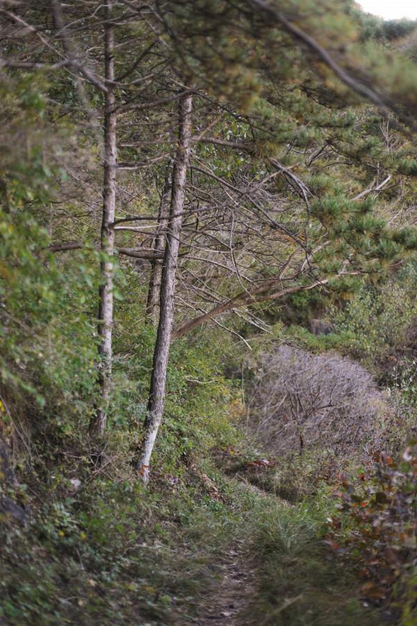 北京徒步登山:人少且免費的爬山步道,房山石花洞鳥語林風景區 北京徒步登山:人少且免費的爬山步道,房山石花洞鳥語林風景區