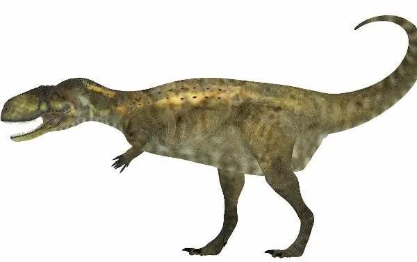 阿貝力龍:前肢短小的大型食草恐龍(體長7.9米/白堊紀晚期) 阿貝力龍:前肢短小的大型食草恐龍(體長7.9米/白堊紀晚期)