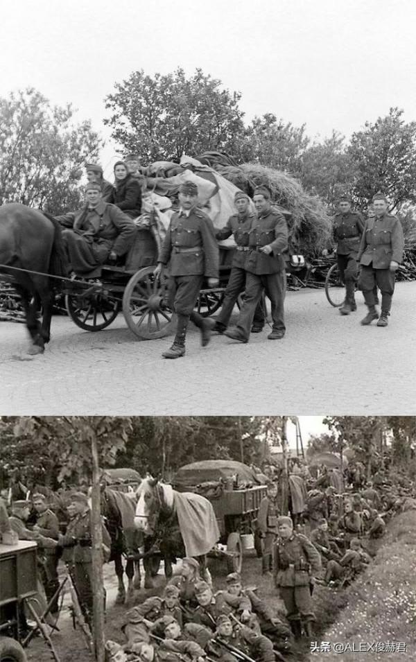 1939年的德軍:步兵營編制820人,運輸工具還是騾馬大車 1939年的德軍:步兵營編制820人,運輸工具還是騾馬大車
