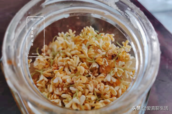 自制桂花蜜，水洗晾曬都不對，跟我這樣做，香味濃郁放多久都不壞