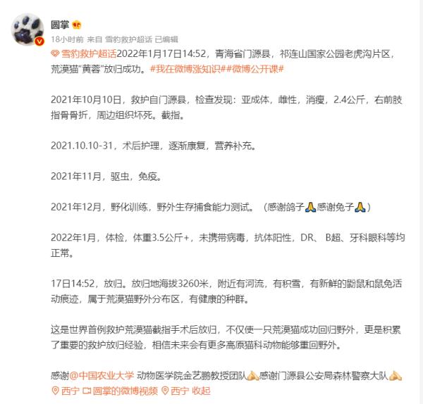 霸氣歸山！青海一隻荒漠貓為啥引起了全網關注？