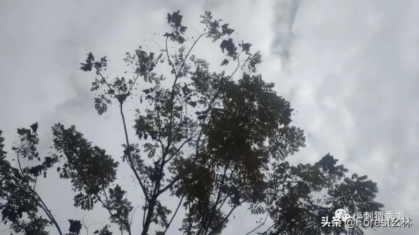 少年更事:學校的一磚一瓦都不能丟 少年更事:學校的一磚一瓦都不能丟