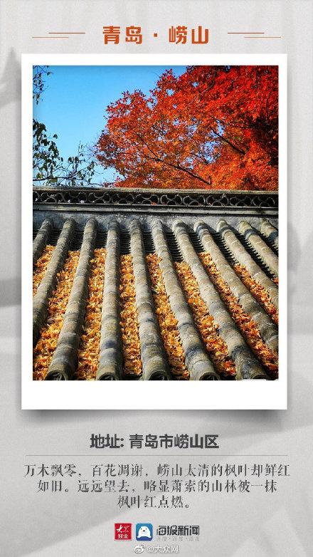 山東這些絕美賞紅葉地不要錯過 山東這些絕美賞紅葉地不要錯過