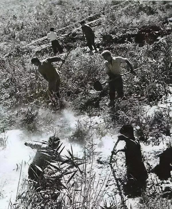 軍農史話——這些文物背後的兵團故事令人動容 軍農史話——這些文物背後的兵團故事令人動容