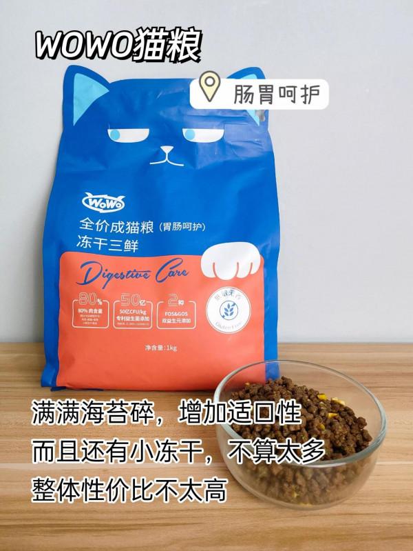 貓糧還能選錯！看這篇就懂了