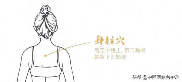 「經絡穴位養生科普」預防百種慢性疾病的妙法