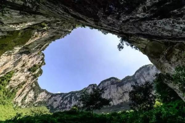 消失128年！極危物種重現雲南天坑，科學家正搶救性採集