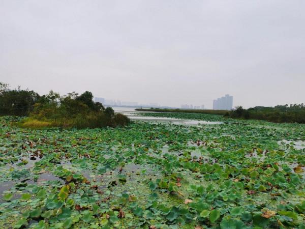 談談股票做T 談談股票做T