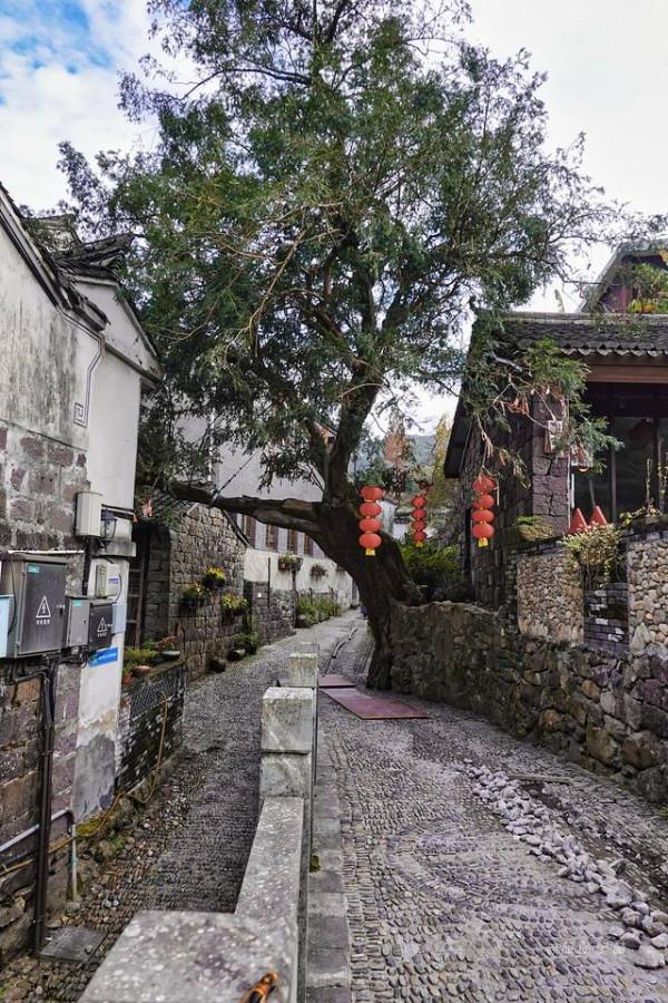 踏著深秋的落葉,去四明山來場自駕遊 踏著深秋的落葉,去四明山來場自駕遊