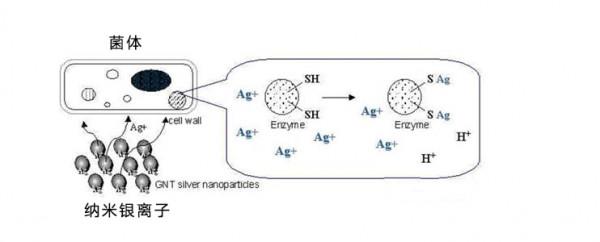 冷凍也能殺菌!入手超高性價比海信536L大容量冰箱 冷凍也能殺菌!入手超高性價比海信536L大容量冰箱