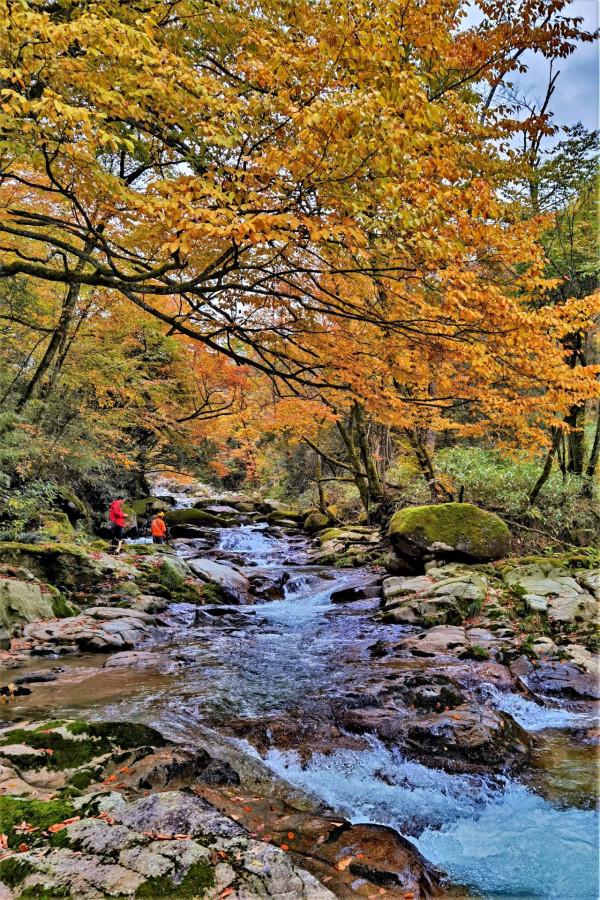 秘境南壩溝——四川光霧山 秘境南壩溝——四川光霧山