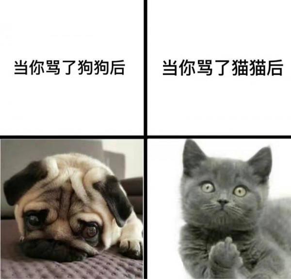 親戚為什麼是一輩親，隔幾代就不聯絡了