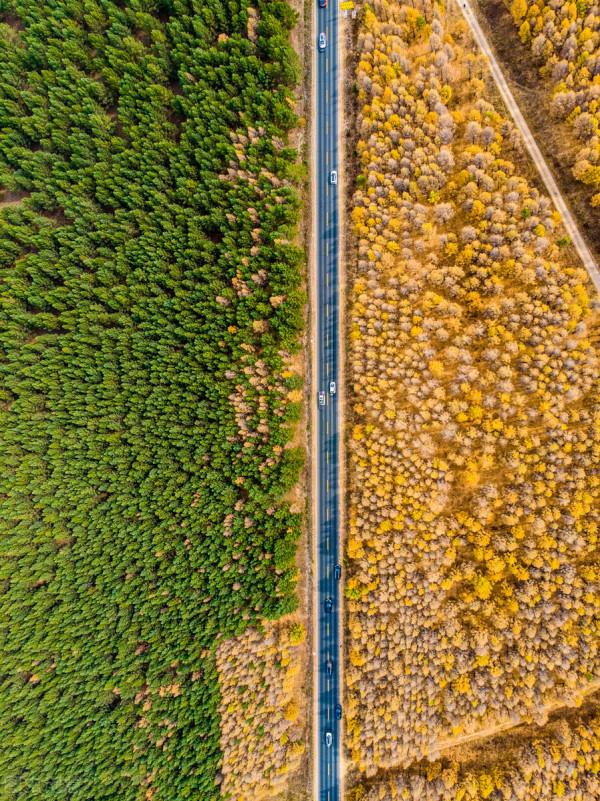 一省一秋!各省秋色“當紅”代言人,你的家鄉上榜了嗎? 一省一秋!各省秋色“當紅”代言人,你的家鄉上榜了嗎?