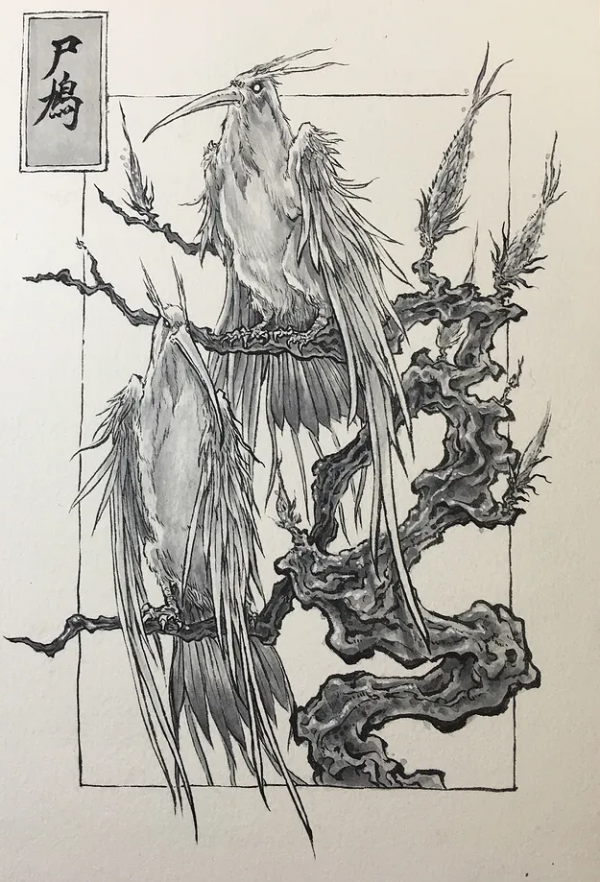 山海經之尸鳩/喜歡住在喜鵲的巢裡