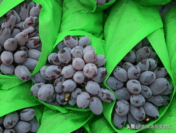 我國北方人很少見到的南方水果,每種都非常好吃,你都吃過哪些 我國北方人很少見到的南方水果,每種都非常好吃,你都吃過哪些