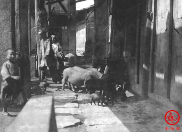 晚清老照片:地方官出差前呼後擁,圖8廚房做飯場景難得一見 晚清老照片:地方官出差前呼後擁,圖8廚房做飯場景難得一見