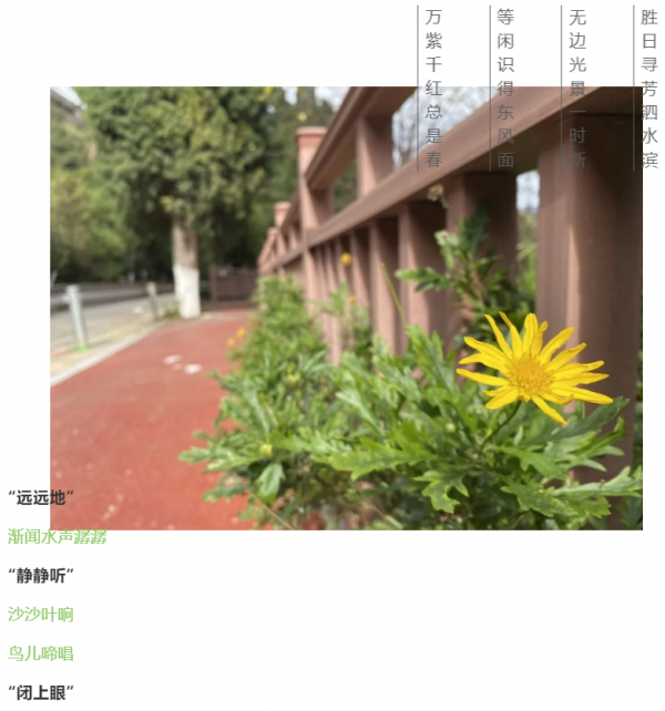 箇舊寶藏景緻上新！一水百花一步道，新年迎春正當時！