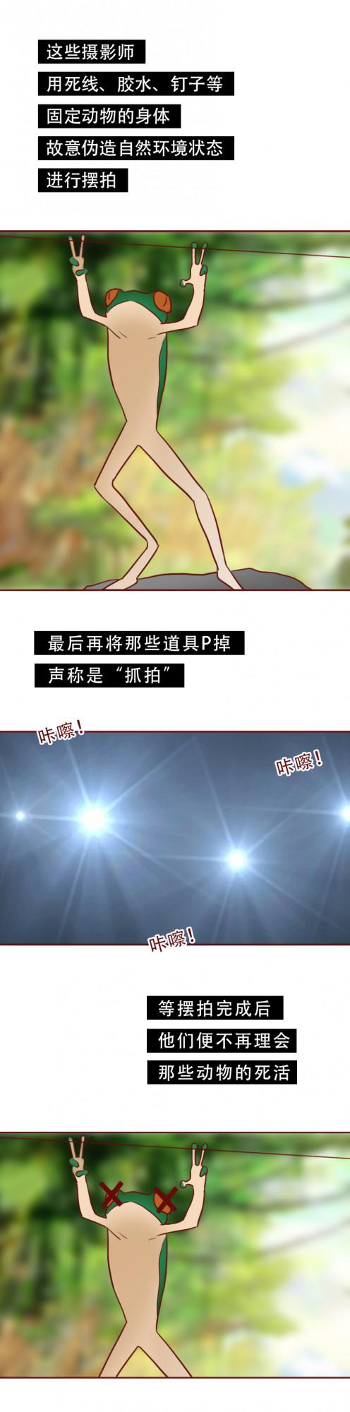 虐待、捆綁、拍攝,一位4歲小女孩被改造成賺錢的工具 虐待、捆綁、拍攝,一位4歲小女孩被改造成賺錢的工具