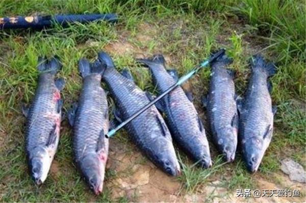 野釣絕殺釣法：3種民間遠投釣法，適合各種水面，通殺大小魚