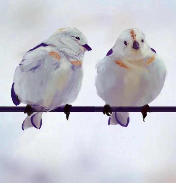 60多張雙比翼鳥圖欣賞