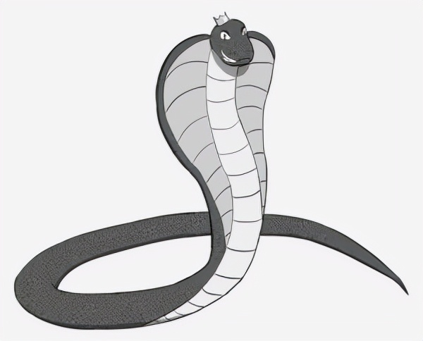 動物界的大毒梟，一克毒能讓15000人喪命，也只是大自然的搬運工