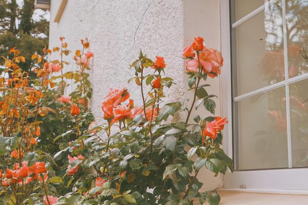 有三個秘密，關係再好也不能告訴對方，這不是心機，而是情商