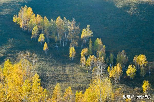 天淨沙——風輕雲淡秋天