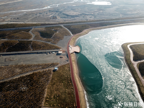 冬日的城市森林公園 美麗圖案如夢如幻