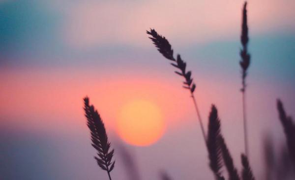 摘抄本上的句子分享，來一波