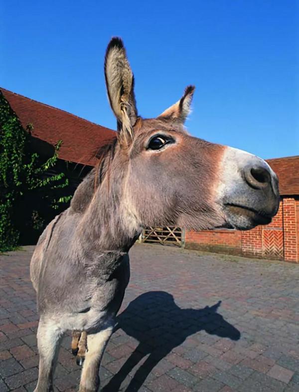 三五釣友相聚小清河，有說有笑豈不美哉